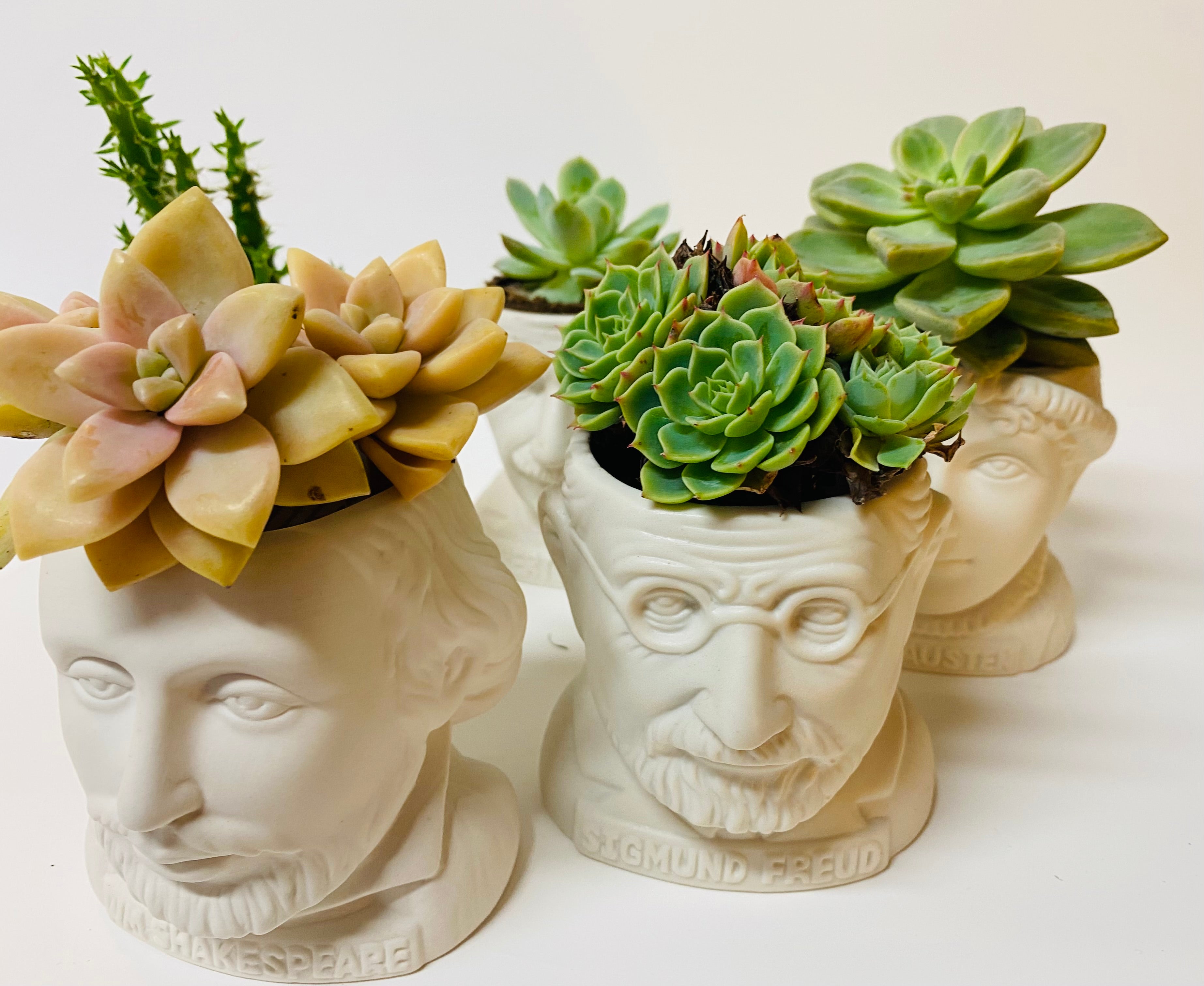 succulent pots nz Fertile Minds Planters – Leaf & Petal NZ